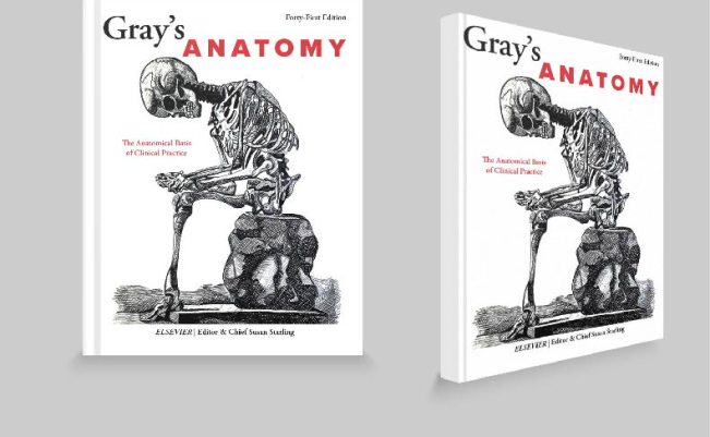 Anatomy_book_Mockup_draft_V1